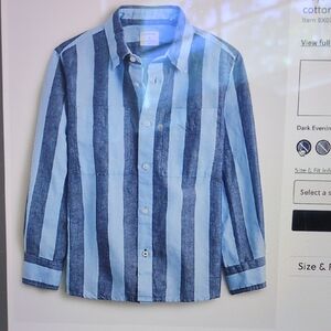 J. Crew Blue Casual Button Down Shirt with Bold Stripes